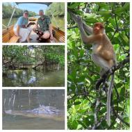 Bandar Seri Begawan, snabelaber og krokodiller