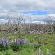 Clay Cliffs