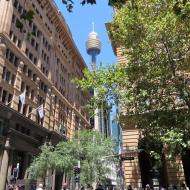 Sydney Tower Eye