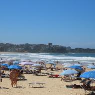 Manly Beach