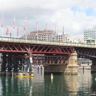 Pyrmont Bridge