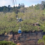 Scenic World