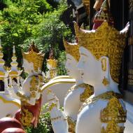 Wat Inthakhin Sadue Muang