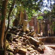 Ta Prohm