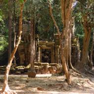 Ta Prohm