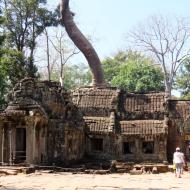 Ta Prohm