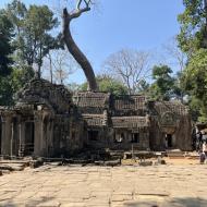 Ta Prohm