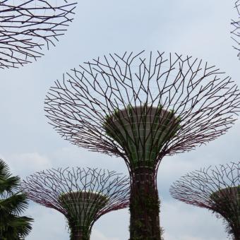 Gardens by the Bay