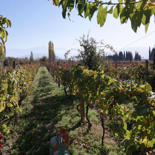 Mendoza, Argentina