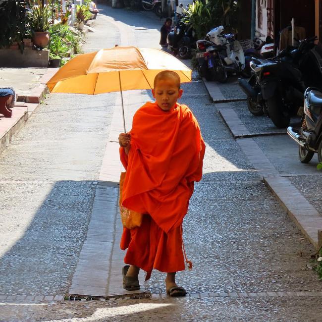 Munk i Luang Prabang, Laos